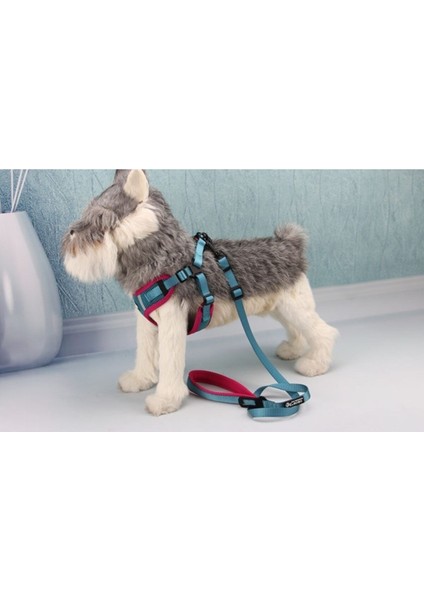 Luxury Küçük Irk Köpek Göğüs Tasması Large 1 Adet