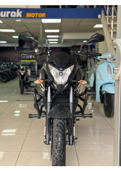 Bajaj Pulsar NS200 Özel Yapım Mat Siyah 6 Takozlu Koruma Demiri