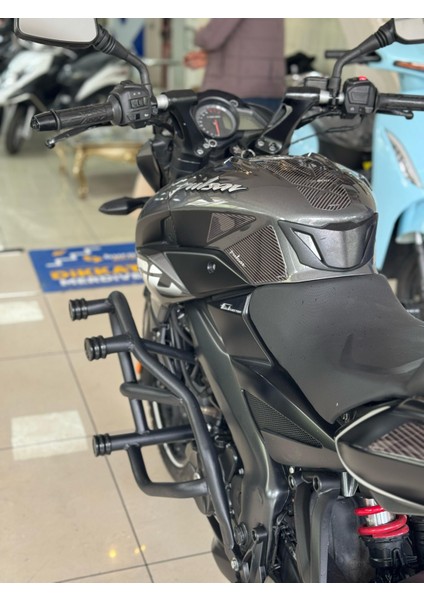 Bajaj Pulsar NS200 Özel Yapım Mat Siyah 6 Takozlu Koruma Demiri
