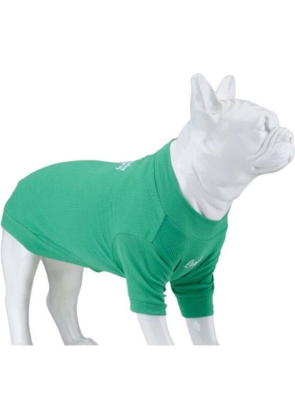 Luxury Lindo Dogs Make Today Amazing Köpek Kıyafeti Tshirt Yeşil Beden 3 1 Adet