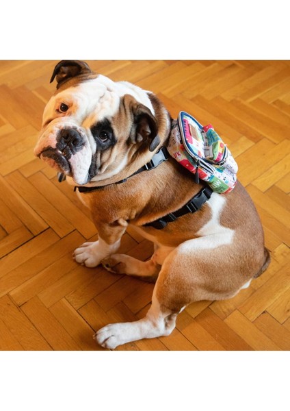 Luxury Travel, Köpek Gögüs Tasması - Köpek Sırt Çantası-Tasmalı Çanta, 1 Adet
