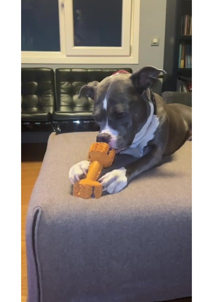 Luxury Köpek Oyuncağı - Diş Tartarı Önleyici - Dumbell Large - 20 cm 1 Adet
