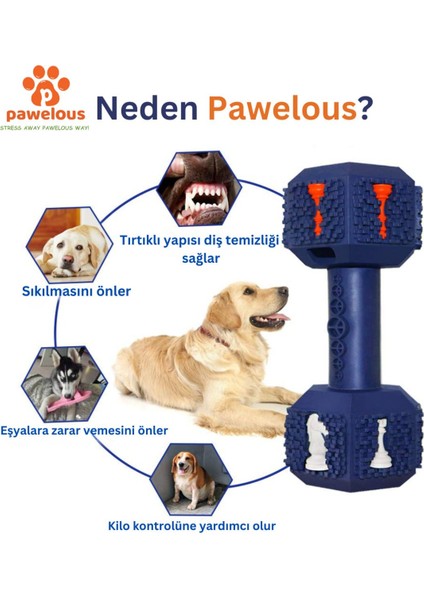 Luxury Köpek Oyuncağı - Diş Tartarı Önleyici - Dumbell Large - 20 cm 1 Adet
