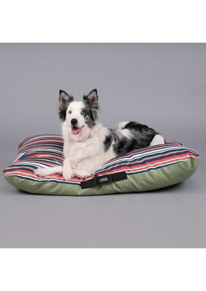 Luxury Soft View Köpek Yatağı 1 Adet