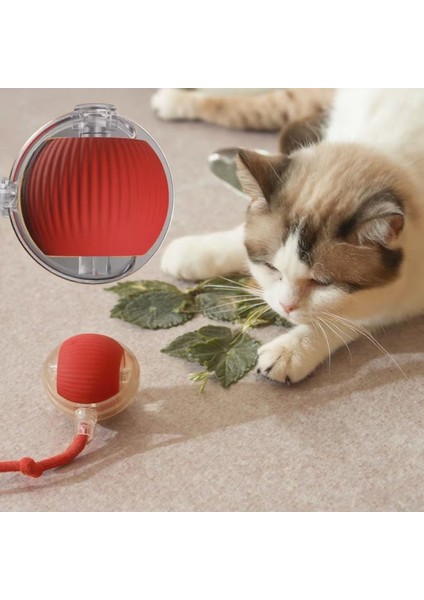 Luxury 360 Kendinden Hareketli Kedi Topu Şarj Edilebilir Kedi Köpek Oyuncağı Kedi Köpek Topu 1 Adet modelleri