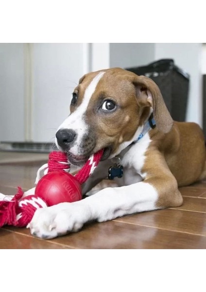 Luxury Kong Ipli Top Köpek Oyuncağı Small 6.5 cm 1 Adet