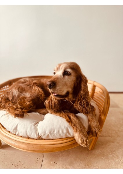 Luxury Fleck Rattan Pet Yatağı 1 Adet