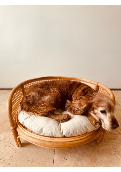 Luxury Fleck Rattan Pet Yatağı 1 Adet