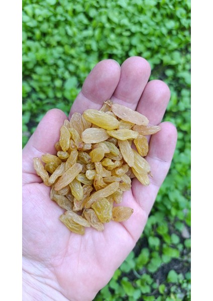 Tire Üzümü (Sarı Üzüm) 250 gr