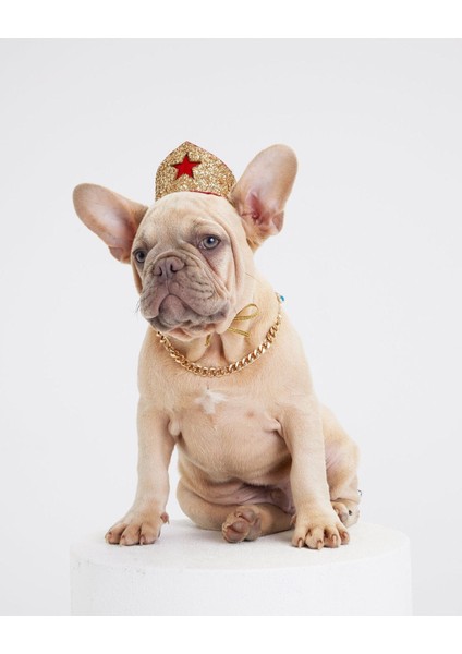 Luxury Wonder Woman Köpek Tacı M 1 Adet