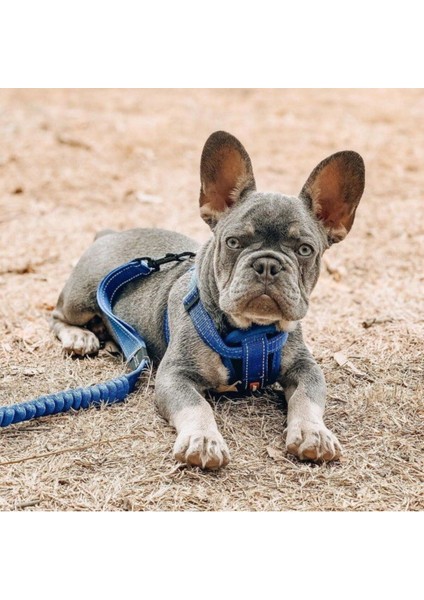 Luxury Chest Plate Harness 1 Adet