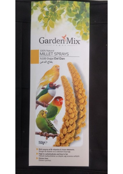 Gardenmix Platin Sarı Dal Darı