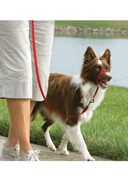Luxury Easy Walk Headcollar Köpek Kafalıklı Tasma Kırmızı Large 27.2-59 kg 1 Adet