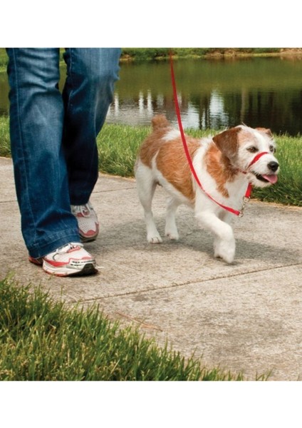 Luxury Easy Walk Headcollar Köpek Kafalıklı Tasma Kırmızı Large 27.2-59 kg 1 Adet