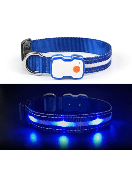 Luxury TZ-TC6230 LED Işıklı Şarjlı Köpek Tasması, Su Geçirmez, 3 Renk Seçenekli 1 Adet