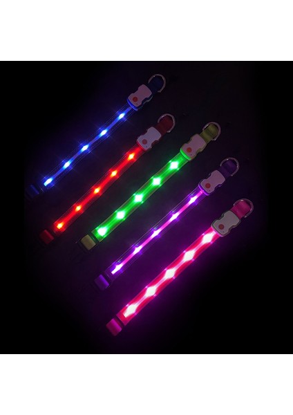 Luxury TZ-TC6230 LED Işıklı Şarjlı Köpek Tasması, Su Geçirmez, 3 Renk Seçenekli 1 Adet