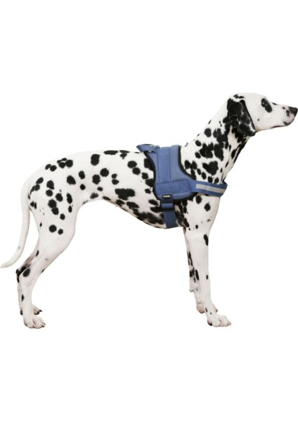 Luxury Belden Köpek Tasması Maestro 2.0 Xxl 83-113 cm x 38 mm 1 Adet