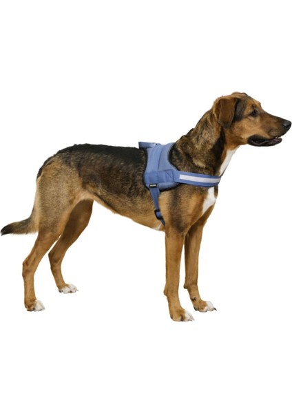 Luxury Belden Köpek Tasması Maestro 2.0 Xxl 83-113 cm x 38 mm 1 Adet