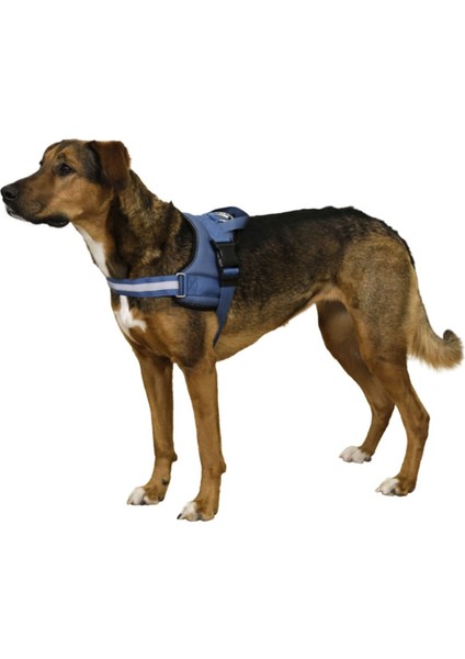 Luxury Belden Köpek Tasması Maestro 2.0 Xxl 83-113 cm x 38 mm 1 Adet