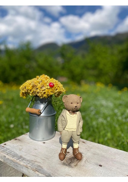 Renklifırça Teddy Ayıcık Polyester Biblo Hediyelik modelleri