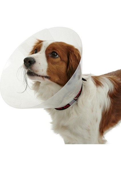 Luxury Kedi Köpek Yakalığı 7,5 Cm. 10'lu Paket 1 Adet