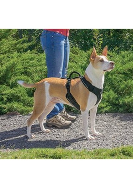 Luxury Easy Sport Harness Yeşil Köpek Tasması Large 71 107 cm 1 Adet