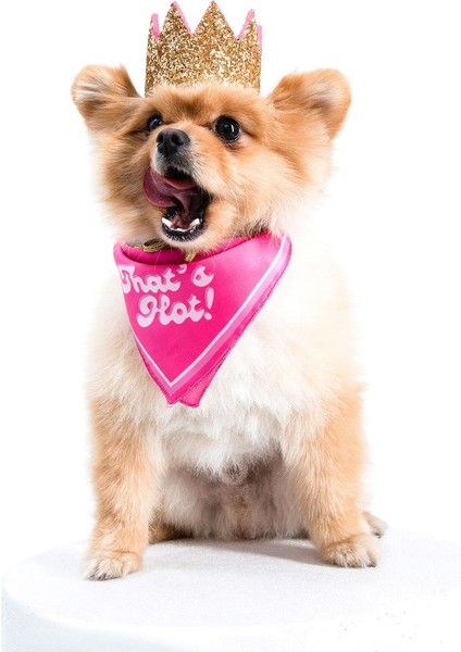 Luxury Meta Pembe Köpek Tacı M 1 Adet