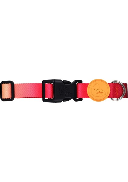 Luxury Flame Köpek Boyun Tasması Xs 1 Adet