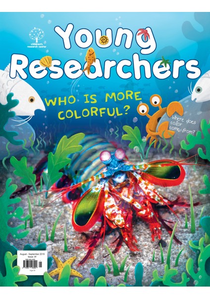 Young Researchers 2. Dergi Seti (30-31-32-33-34) modelleri