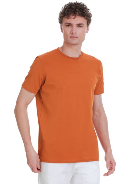 Tarçın Regular Fit Bisiklet Yaka Pamuklu Tişört