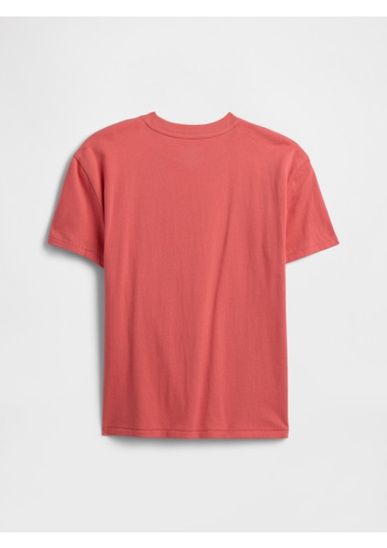 Erkek Çocuk Kırmızı Çizgili T-Shirt modelleri