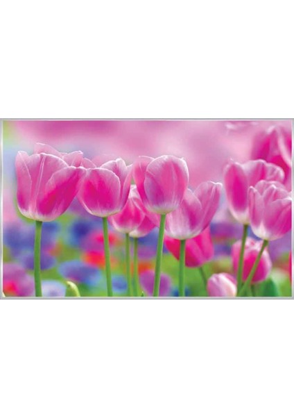 Poster 273 P8 (3.68*2.54CM)