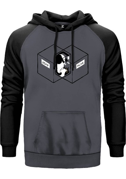 Dead Alive Cat Gri Renk Reglan Kol Kapşonlu Sweatshirt