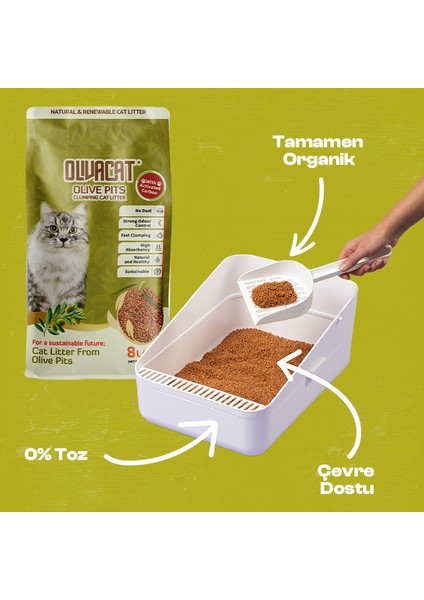 Zeytin Çekirdeğinden Üretilen Aktif Karbonlu Doğal Tozsuz Kedi Kumu 8 L 3 Adet fiyatları
