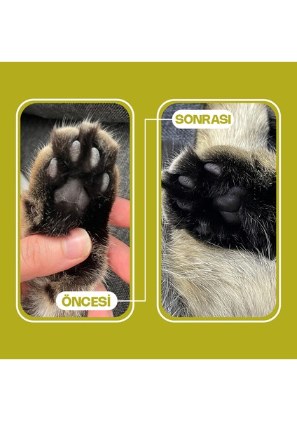 Zeytin Çekirdeğinden Üretilen Doğal Tozsuz Kedi Kumu 7 L 3 Adet