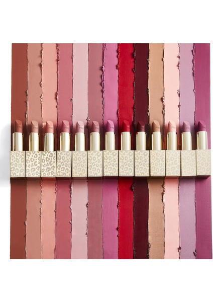 New Neutral Satin Matte Lipstick Vamped