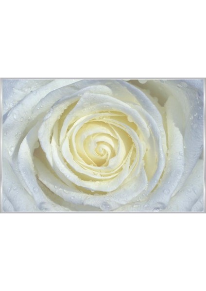 Poster 663 P4 (2.54*1.84CM)