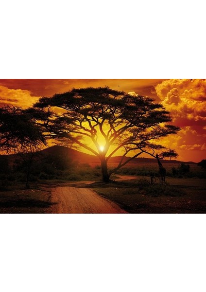 Poster 055 P4 (2.54*1.84CM)