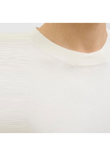 Erkek Bisiklet Yaka Triko - William