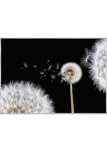 Poster 125 P8 (3.68*2.54CM)