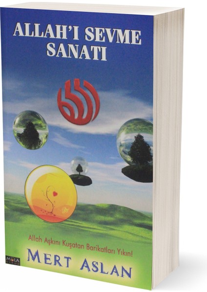 Allah'ı Sevme Sanatı