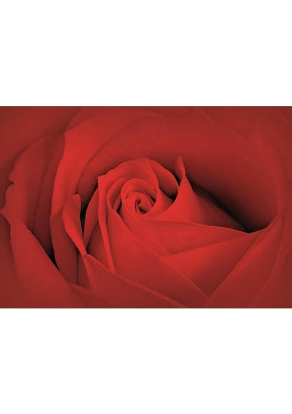 Poster 560 P4 (2.54*1.84CM)