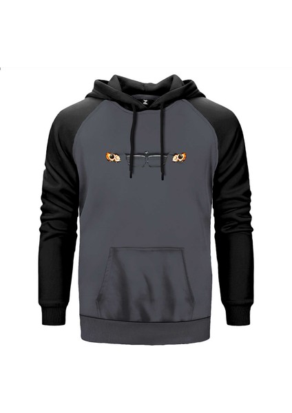 Bmw I8 Color Gri Renk Reglan Kol Kapşonlu Sweatshirt