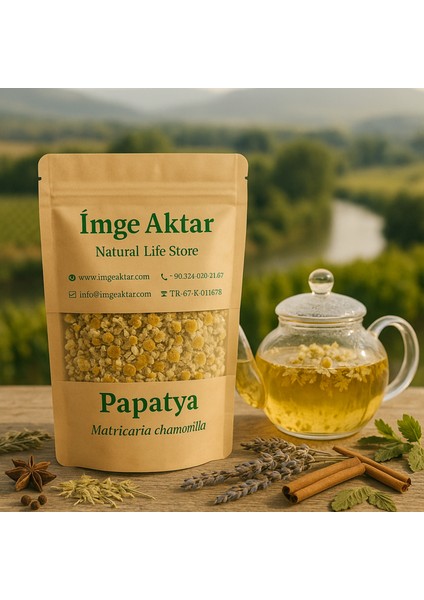 Papatya Alman Papatyası Mayıs Papatyası 50G