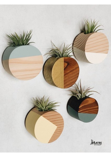 Ahşap Dekoratif 5'li Uçan Duvar Çiçekliği (Çiçekler Dahil Değildir) fiyatları