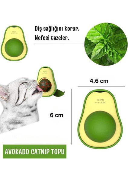 2 Adet Avokado Doğal Catnipli Yenilebilir Dönen Kedi Nanesi Yalama Topu Otu Oyun Topu Top Oyuncak