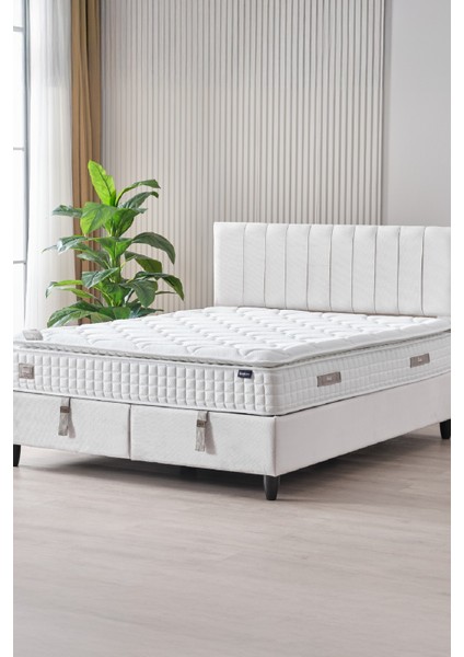 Zambak Modeli Full Ortopedik Çift Kişilik Pedli Yataklı Baza ve Başlık Takımı 3 lü Set