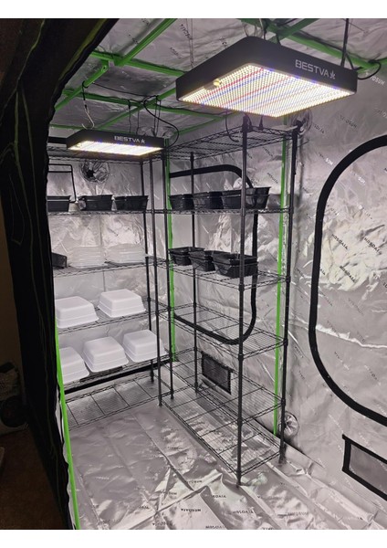 DC1000W Bitki Yetiştirme Lambası Full Spectrum Bitki Yetiştirme Ledi Grow Lamp Plant Light