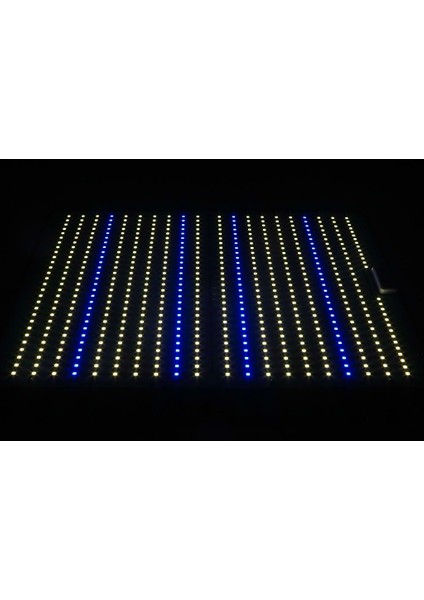 DC2000W Bitki Yetiştirme Lambası Full Spectrum Bitki Yetiştirme Ledi Grow Light Led
