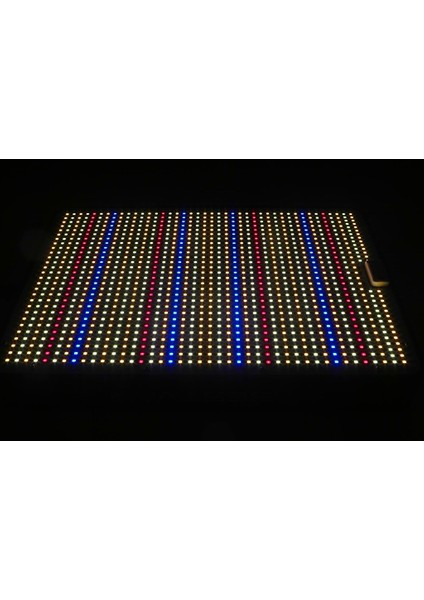 DC2000W Bitki Yetiştirme Lambası Full Spectrum Bitki Yetiştirme Ledi Grow Light Led